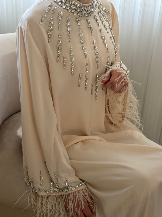 Robe strass et plumes