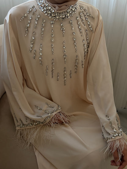 Robe strass et plumes